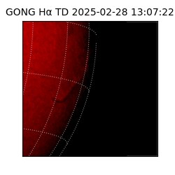 gong - 2025-02-28T13:07:22