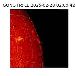 gong - 2025-02-28T02:00:42