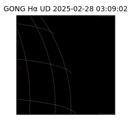 gong - 2025-02-28T03:09:02