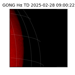 gong - 2025-02-28T09:00:22