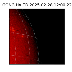 gong - 2025-02-28T12:00:22