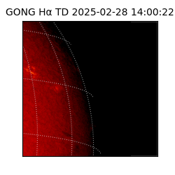 gong - 2025-02-28T14:00:22