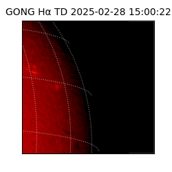 gong - 2025-02-28T15:00:22