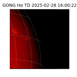 gong - 2025-02-28T16:00:22