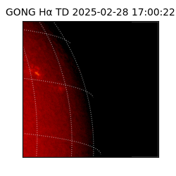 gong - 2025-02-28T17:00:22