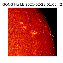 gong - 2025-02-28T01:00:42