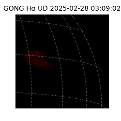 gong - 2025-02-28T03:09:02