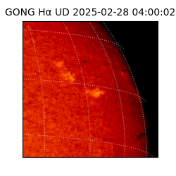 gong - 2025-02-28T04:00:02