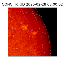 gong - 2025-02-28T08:00:02
