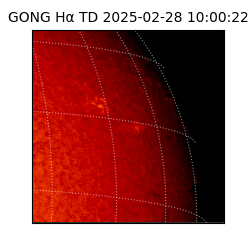 gong - 2025-02-28T10:00:22