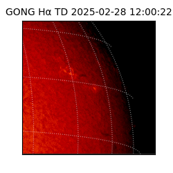 gong - 2025-02-28T12:00:22