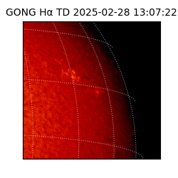 gong - 2025-02-28T13:07:22