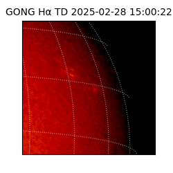 gong - 2025-02-28T15:00:22