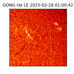 gong - 2025-02-28T01:00:42