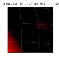 gong - 2025-02-28T03:09:02