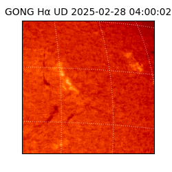 gong - 2025-02-28T04:00:02