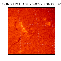 gong - 2025-02-28T06:00:02