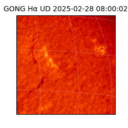 gong - 2025-02-28T08:00:02
