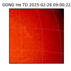 gong - 2025-02-28T09:00:22