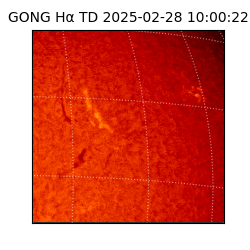 gong - 2025-02-28T10:00:22