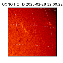 gong - 2025-02-28T12:00:22