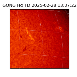 gong - 2025-02-28T13:07:22