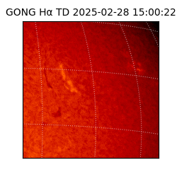 gong - 2025-02-28T15:00:22