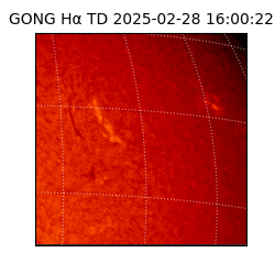 gong - 2025-02-28T16:00:22