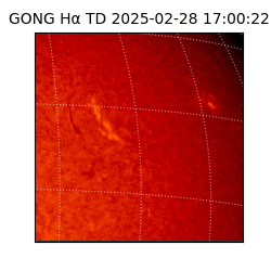 gong - 2025-02-28T17:00:22