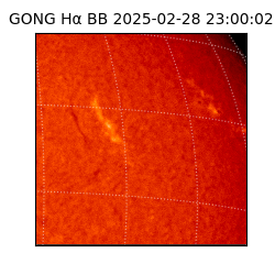 gong - 2025-02-28T23:00:02