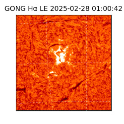 gong - 2025-02-28T01:00:42