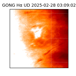 gong - 2025-02-28T03:09:02