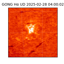 gong - 2025-02-28T04:00:02