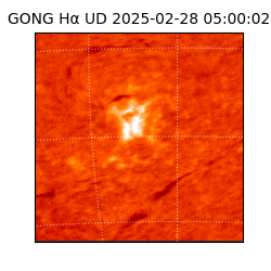 gong - 2025-02-28T05:00:02