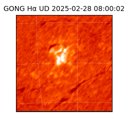 gong - 2025-02-28T08:00:02