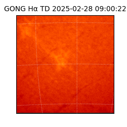 gong - 2025-02-28T09:00:22