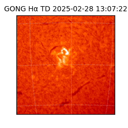 gong - 2025-02-28T13:07:22