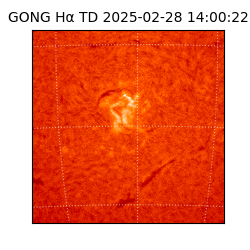 gong - 2025-02-28T14:00:22