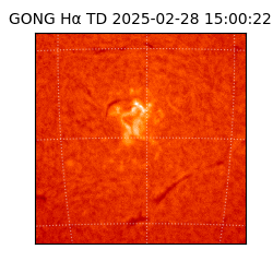 gong - 2025-02-28T15:00:22