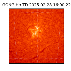 gong - 2025-02-28T16:00:22