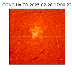 gong - 2025-02-28T17:00:22