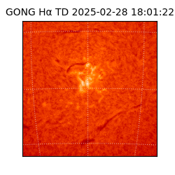 gong - 2025-02-28T18:01:22