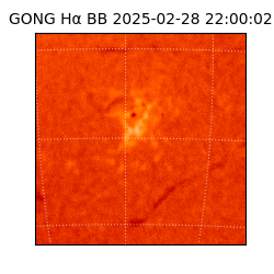 gong - 2025-02-28T22:00:02