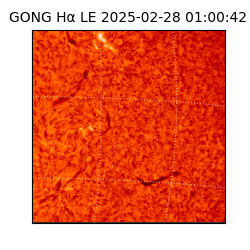gong - 2025-02-28T01:00:42