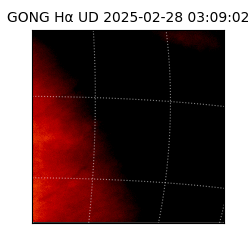 gong - 2025-02-28T03:09:02