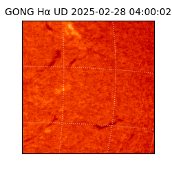 gong - 2025-02-28T04:00:02