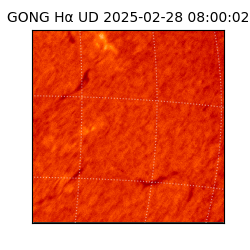 gong - 2025-02-28T08:00:02