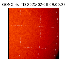 gong - 2025-02-28T09:00:22