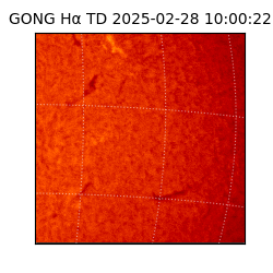 gong - 2025-02-28T10:00:22