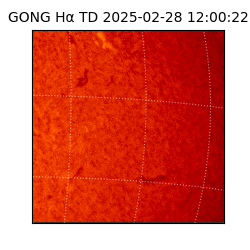 gong - 2025-02-28T12:00:22